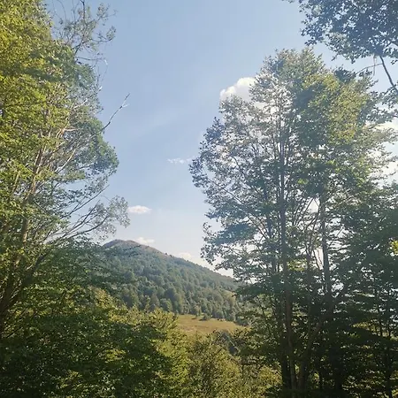 Vikendica Ceperkovic #1 Kopaonik