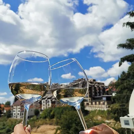 Vikendica Ceperkovic #1