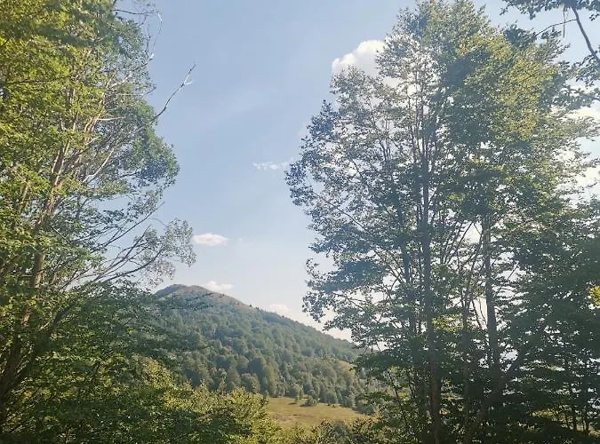 Vikendica Ceperkovic #1 Kopaonik